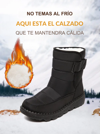 BOTAS TOULOUSE / EDICION PREMIUM