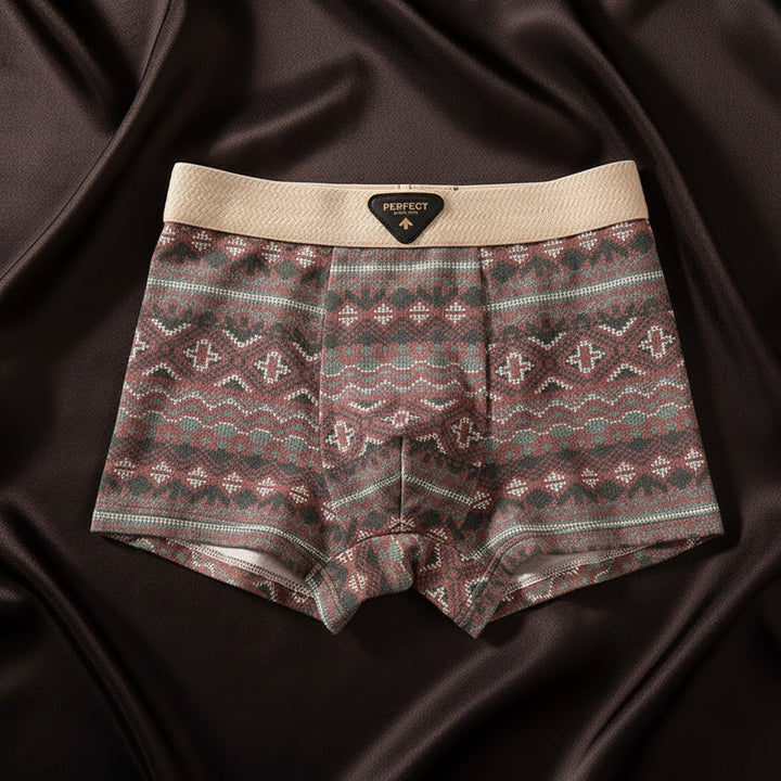 Retro-Style Porter Boxer Briefs
